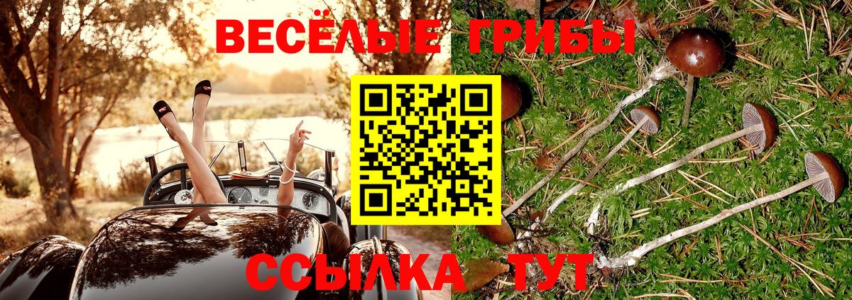 Грязи  где купить   Галлюциногенные грибы мухоморы  Вход с VPN  Галлюциногенные грибы Magic Shrooms 