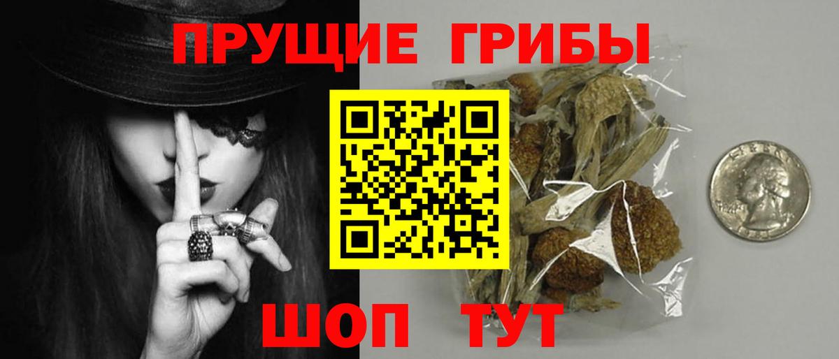 Галлюциногенные грибы Psilocybine cubensis Грязи